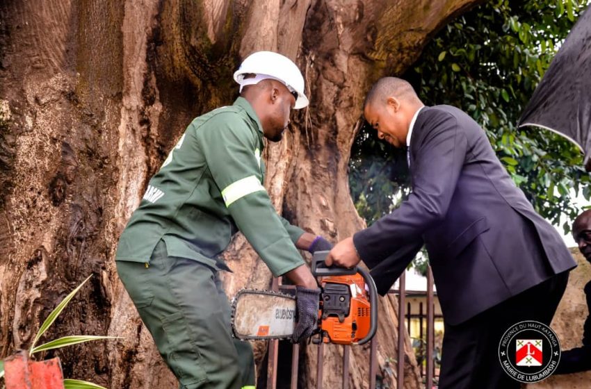  Le maire de Lubumbashi, lance l’opération de déboisement des arbres dangereux dans sa ville